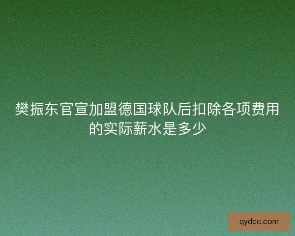 樊振东官宣加盟德国球队后扣除各项费用的实际薪水是多少