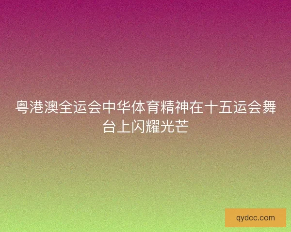 粤港澳全运会中华体育精神在十五运会舞台上闪耀光芒