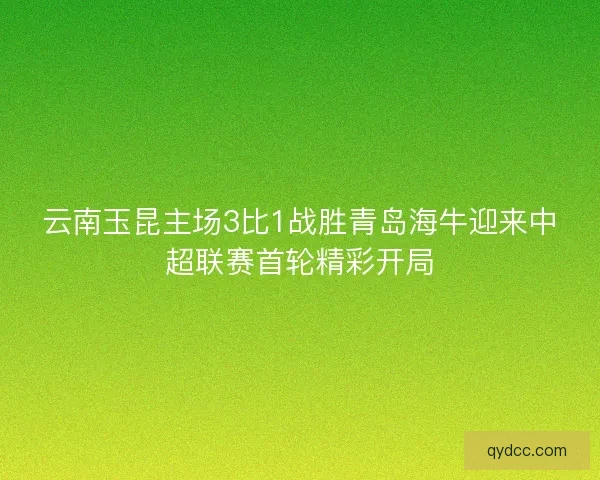 云南玉昆主场3比1战胜青岛海牛迎来中超联赛首轮精彩开局